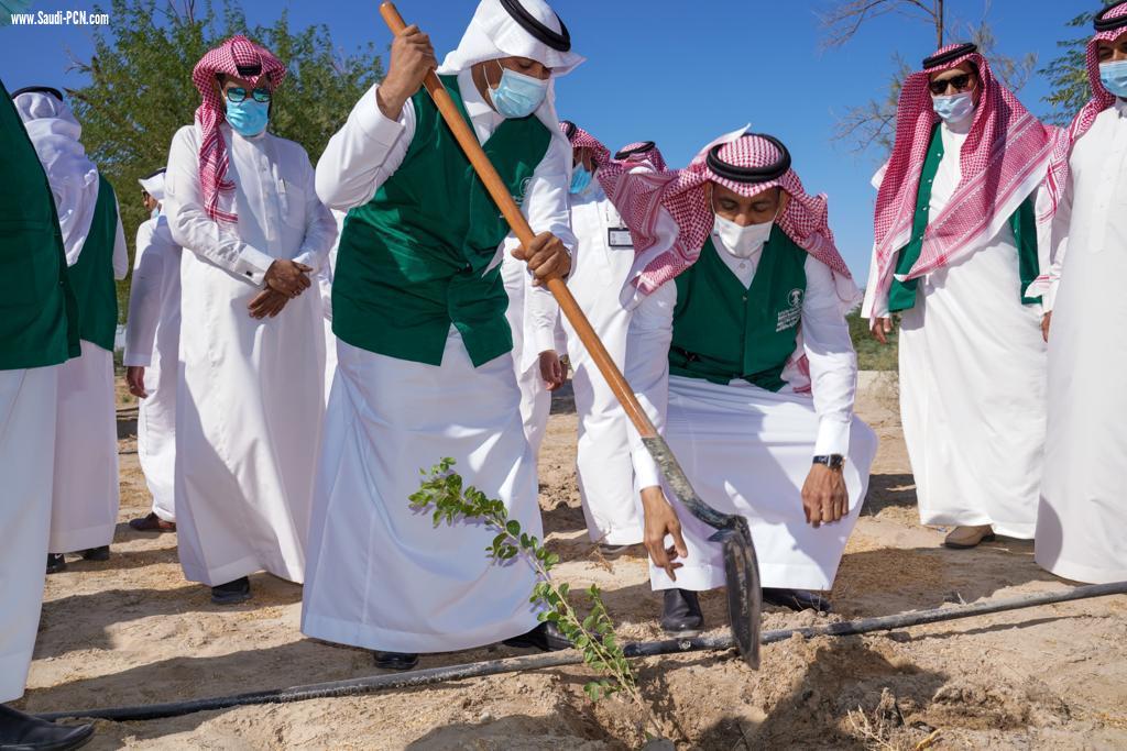  البيئة  بالأحساء  تطلق مبادرة لنجعلها خضراء بزراعة 85 ألف شجرة في عدد من المواقع بالمحافظة بتعاون مع نادك 