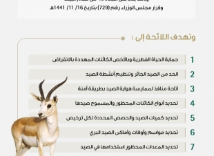 البيئة تبدأ تطبيق اللائحة التنفيذية لصيد الكائنات الفطرية البرية في المملكة