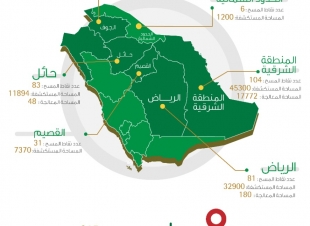 البيئة تستكشف وتكافح الجراد الصحراوي بمساحة 117954 هكتاراً في 6 مناطق 