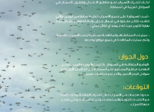 البيئة تتابع وضع الجراد الصحراوي محلياً ودولياً وتحذر من ارتفاع مستوى التهديد من دول الجوار