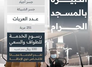 251 عربة كهربائية لخدمة كبار السن وذوي الإعاقة في حج 1445 هـ