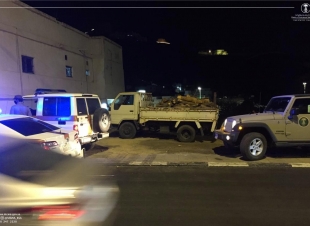 البيئة تنفذ حملة واسعة ضد الاحتطاب وتصادر 39 طنًا وتزيل (56) مصنعًا للفحم بعدة مناطق
