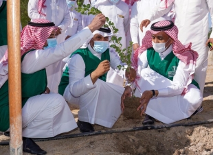 البيئة  بالأحساء  تطلق مبادرة لنجعلها خضراء بزراعة 85 ألف شجرة في عدد من المواقع بالمحافظة بتعاون مع نادك 