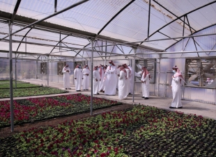 أمين الرياض يتفقّد حدائق ومشاتل الأمانة ضمن جهود زيادة المساحات الخضراء في العاصمة