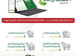 البيئة تطلق 36 خدمة إلكترونية جديدة لمشاريع الإنتاج الحيواني عبر منصة زراعي