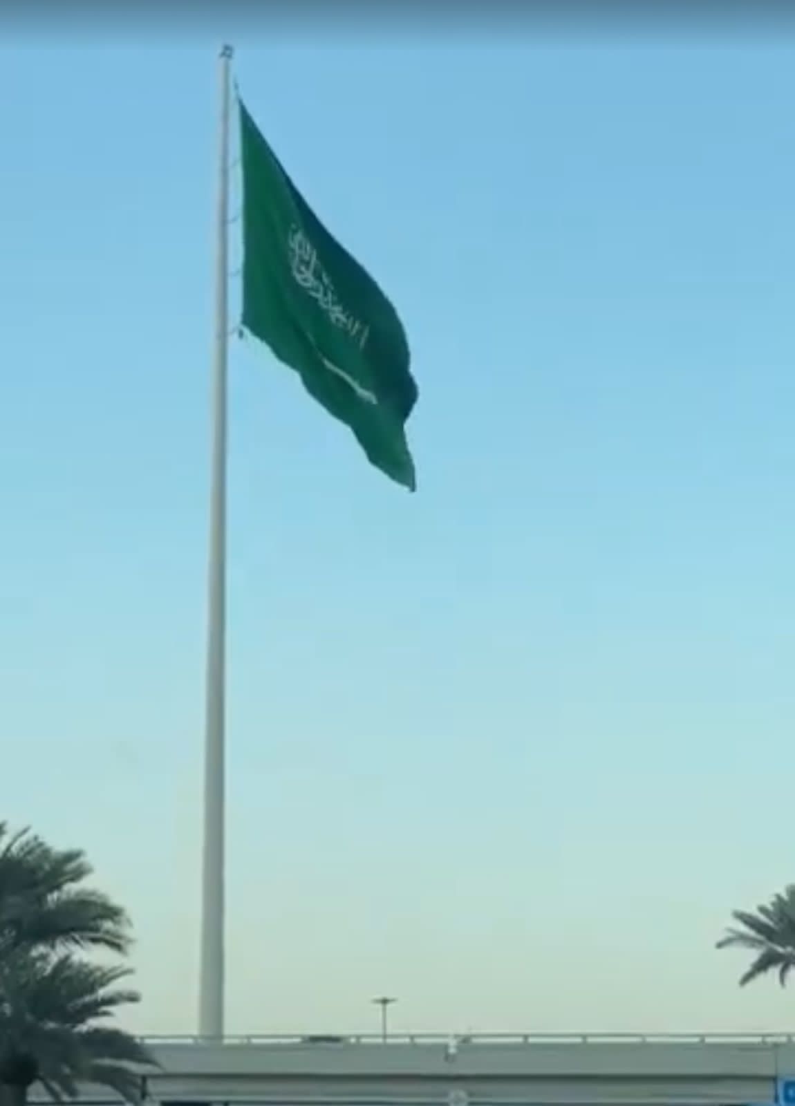  يوم العلم السعودي.. رمز السيادة والفخر الوطني وتأريخ لأطول سارية علم في المدينة المنورة   