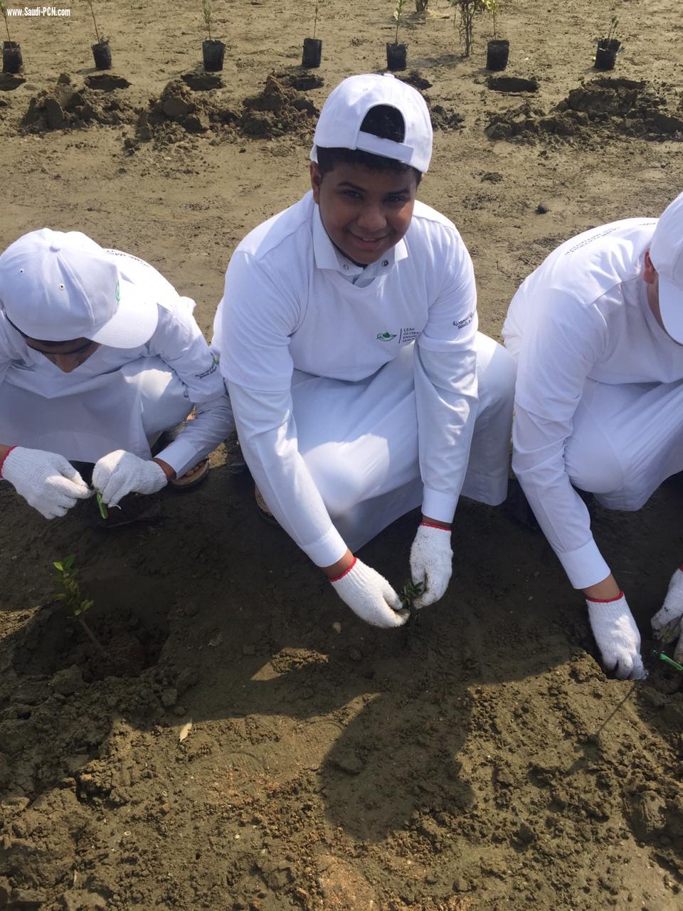 طلاب مجمع مدارس السلامة العليا يشاركون موظفي أرامكو في زراعة القرم 