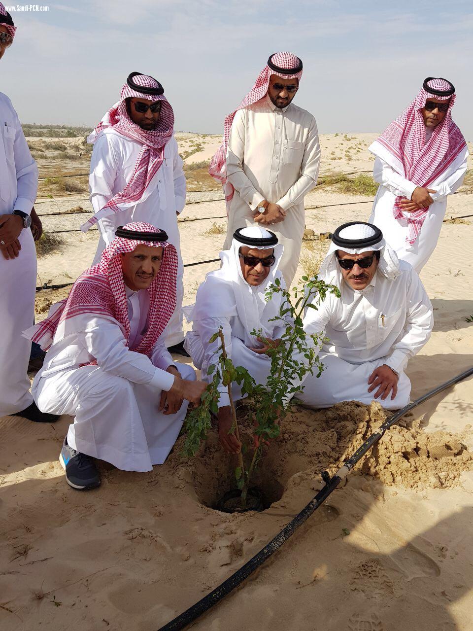 ضمن مبادرة وزارة البيئة والمياه والزراعة  آل الشيخ مبارك يغرس  الشجرة 10 آلاف بغابة جواثا