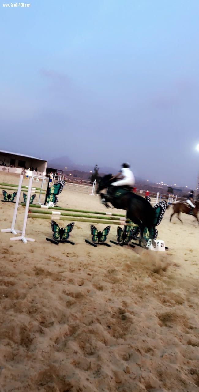 ‏نتائج مهرجان صاحب السمو الملكي أمير منطقة عسير لسباق الخيل