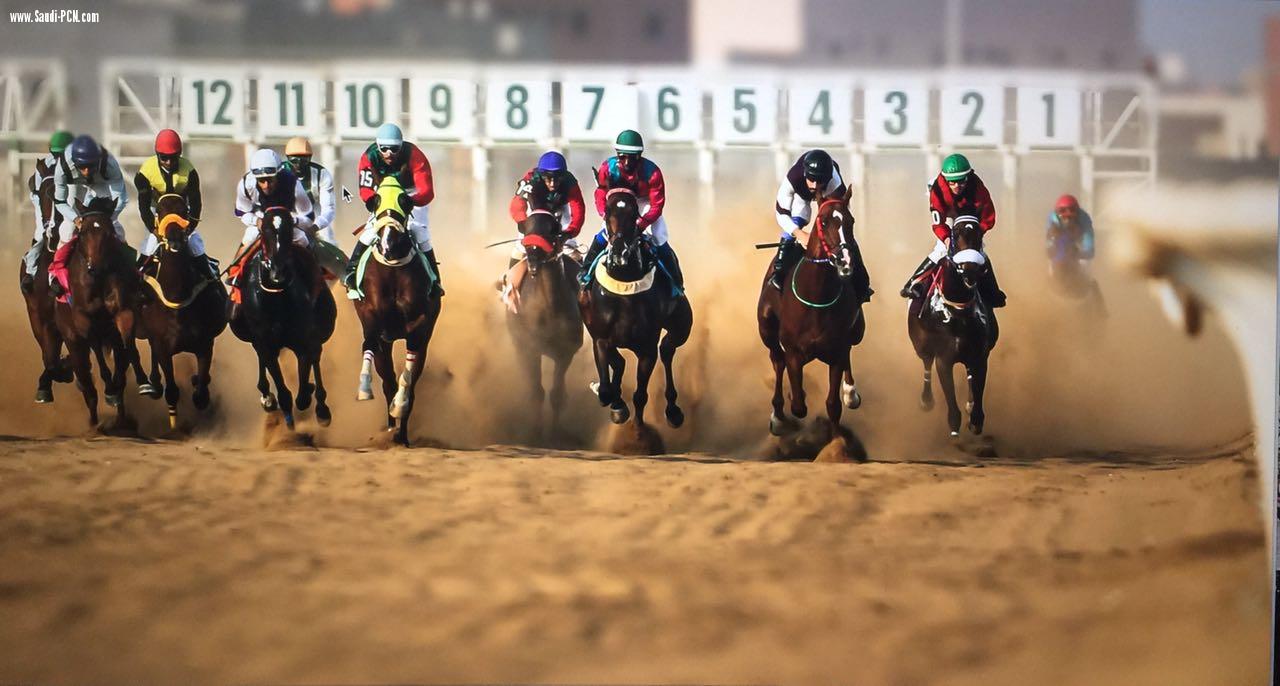 انطلاق موسم سباقات الخيل لميدان الفروسية بجدة لعام 1439هـ