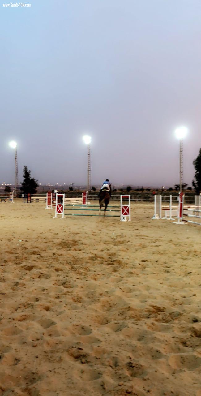 ‏نتائج مهرجان صاحب السمو الملكي أمير منطقة عسير لسباق الخيل