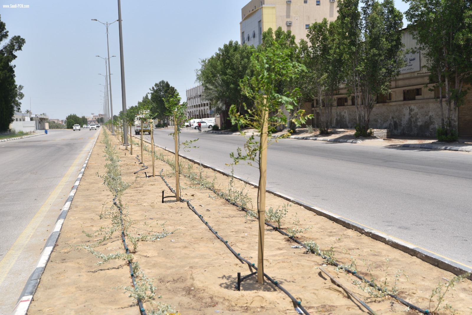 ‏* بلدية القطيف تزرع 5500 شجرة متنوعة ضمن جهودها في تحسين المشهد الحضري وزيادة الرقعة الخضراء بالمحافظة*