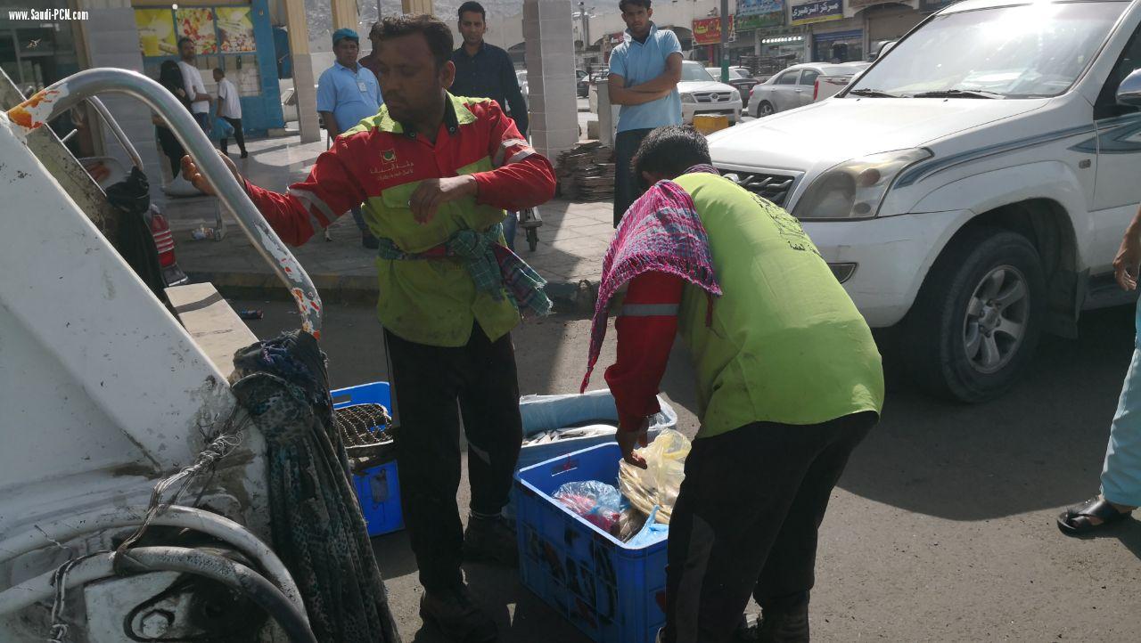 جولة على سوق أسماك مكة ومصادرة(280)كيلو