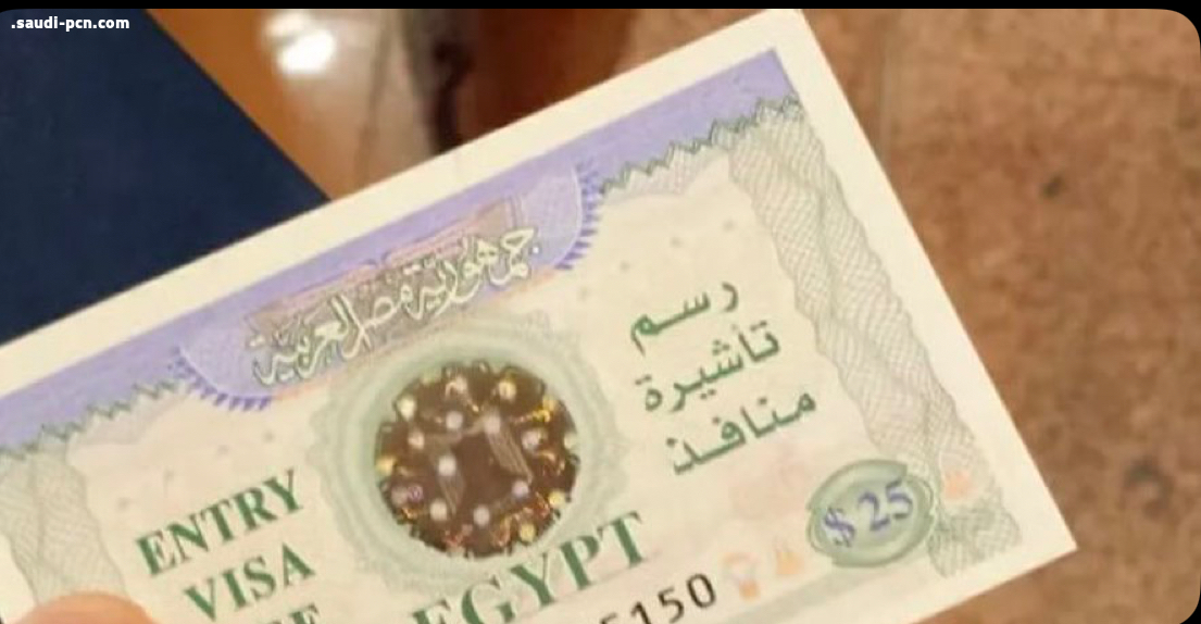 السيسي يوافق على زيادة رسوم تأشيرة الدخول إلى مصر إلى 45 دولار