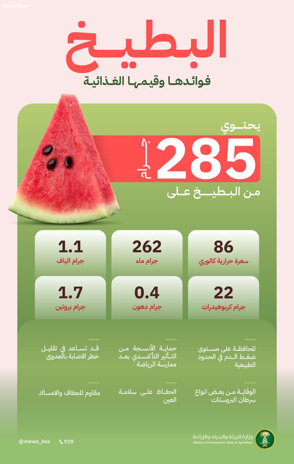 خطط محلية لرفع معدل إنتاج البطيخ لمجموعة فوائدة الغذائية