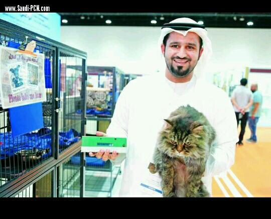 الإمارات : هوية إلكترونية للحيوانات الأليفة والطيور لمنع سرقتها