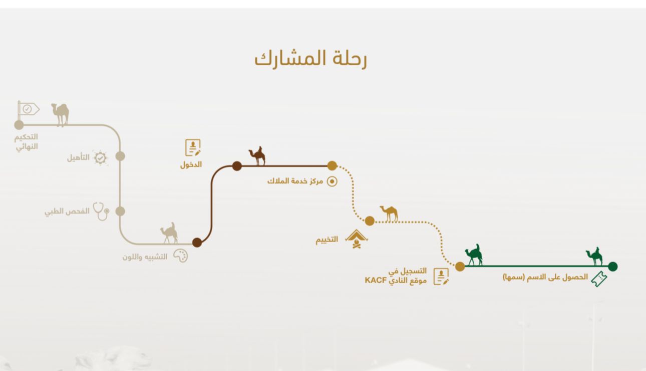 خلال زيارتهم مهرجان الملك عبدالعزيز للإبل 2024 