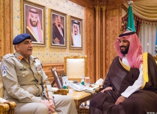ولي العهد يجتمع مع قائد الجيش الباكستاني
