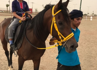 حصة تدريبية لصغار السن بميدان خيل وخيالالمركز الاعلامي بالعقيق 