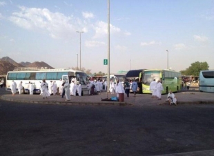 ‎المدينة المنورة .. الجهات المختصة بالحج تستنفر طاقاتها لذروة مغادرة الحجيج لمكة 5 ذي الحجة