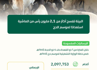 البيئة تفسح أكثر من (2,1) مليون رأس من الماشية استعدادًا لموسم حج 1445 هـ