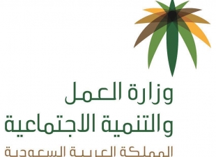 السبت المقبل نهائي تسجيل الفرص التدريبية المتاحةلدى منشآت القطاع الخاص أمام الراغبين ببرنامج 