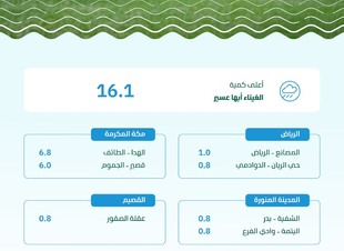 البيئة: ترصد هطول أمطار في (7) مناطق عبر (21) محطة رصد.. والغيناء في عسير تسجل أعلى كمية بـ (16.1) ملم