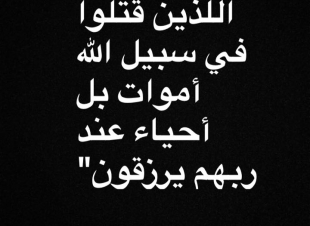 زيارة امير منطقة جازان أسرة الشهيد أحمد محمد